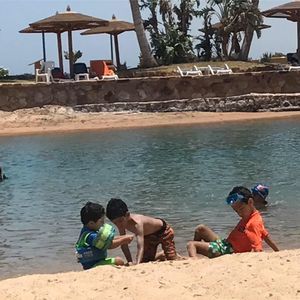 Meet your Posher, Nora